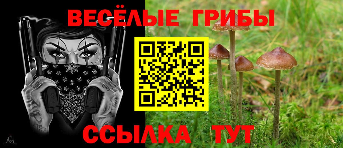 Киселёвск  Псилоцибиновые грибы ЛСД  Псилоцибиновые грибы мицелий  Вход с VPN 